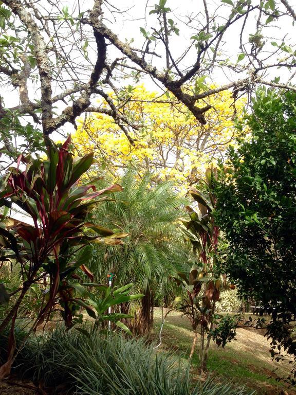 Aparthotel Villa Pacande & Rooms Pilas Luaran gambar